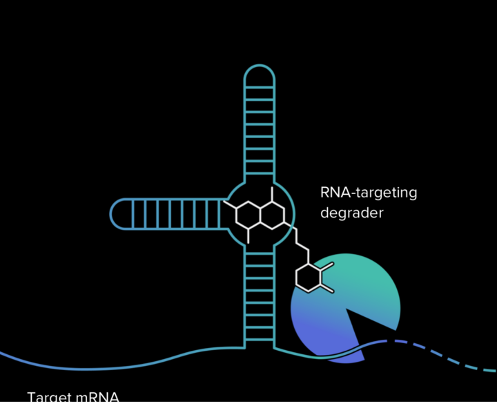 RNA-targeting degrader, Target mRNA